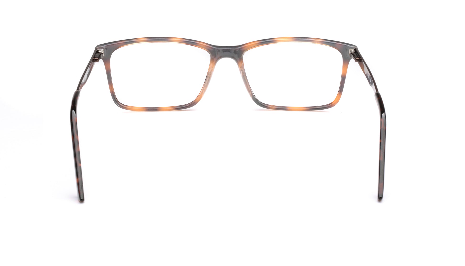 RA534-1 | Men | Shiny Demi | CP Glasses