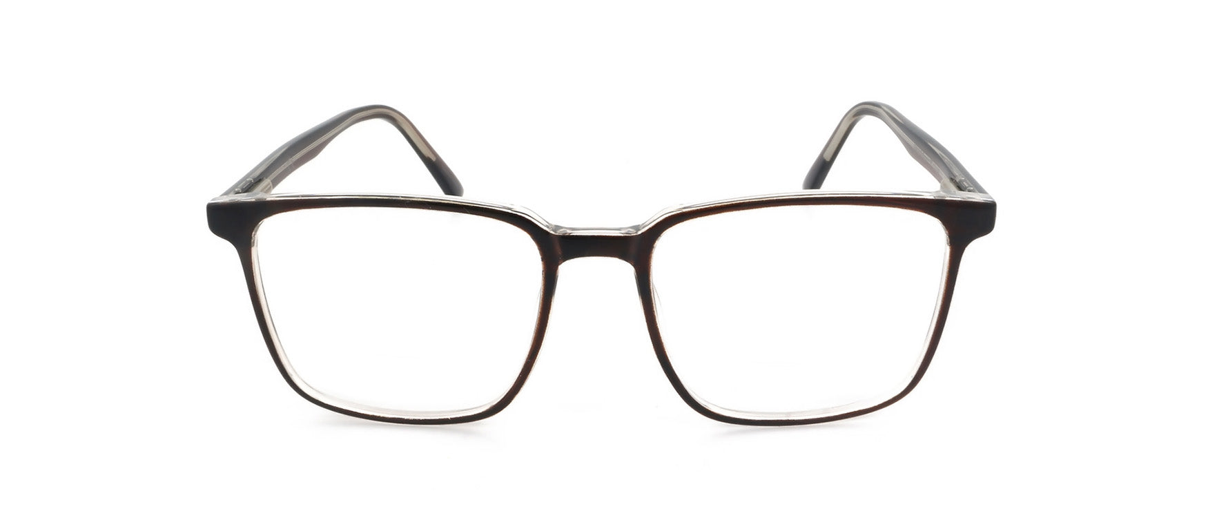 RA556-3 | Unisex | Shiny Brown | CP Glasses