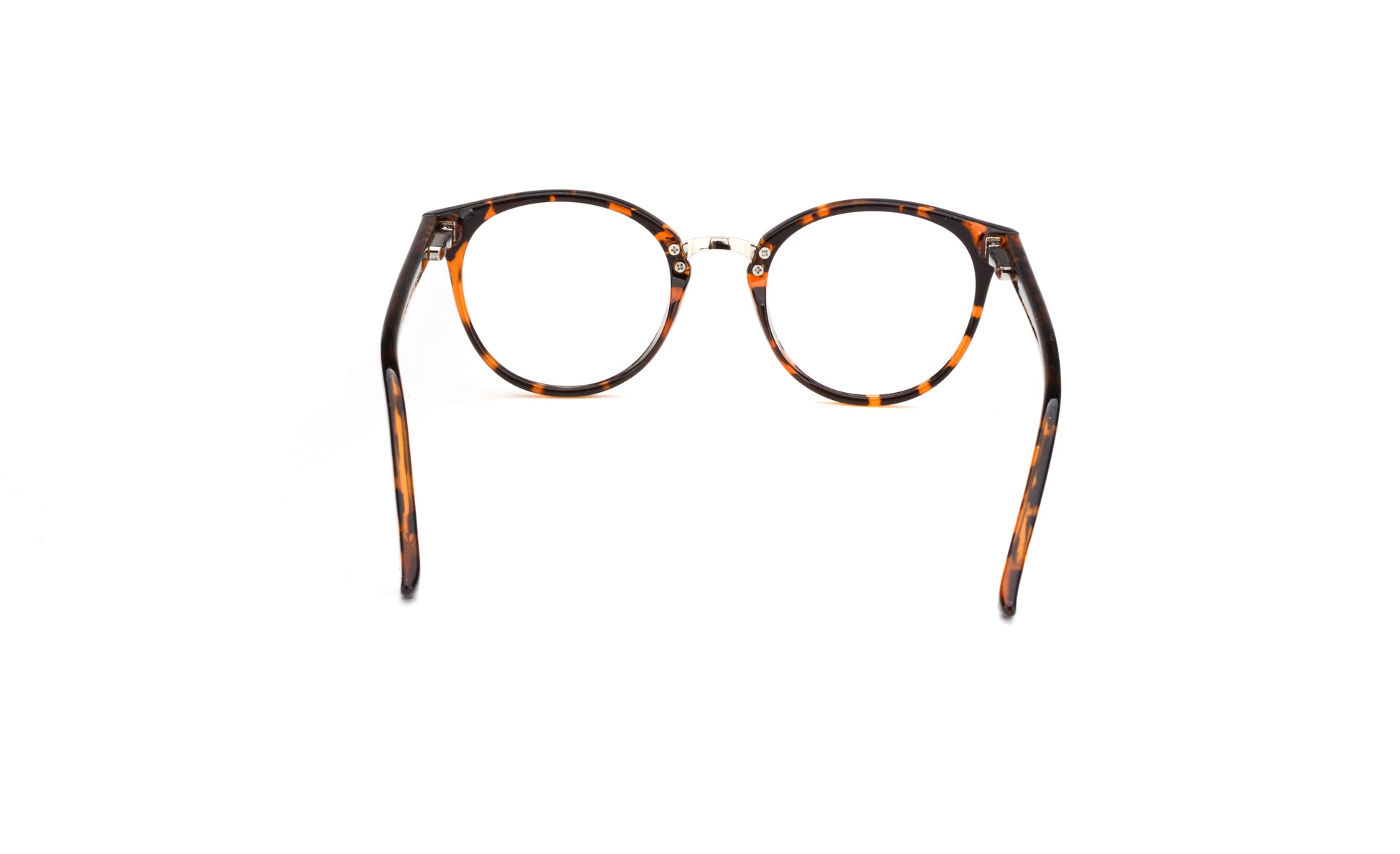 RA539-3 | Women | Shiny Demi | CP Glasses