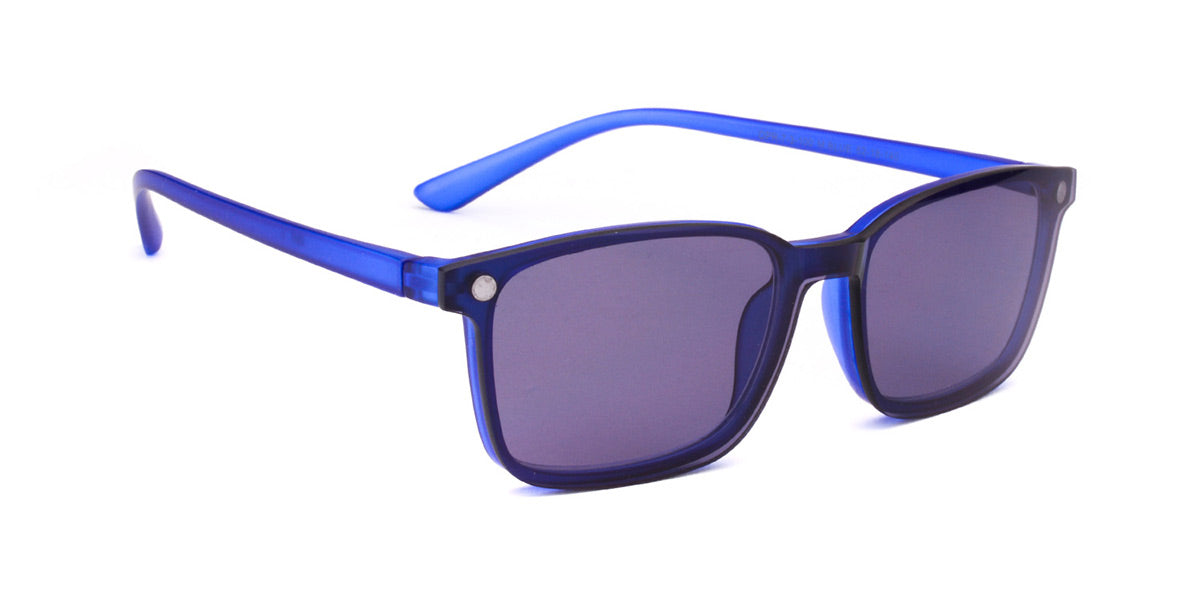 Reading sunglasses 2.50 online