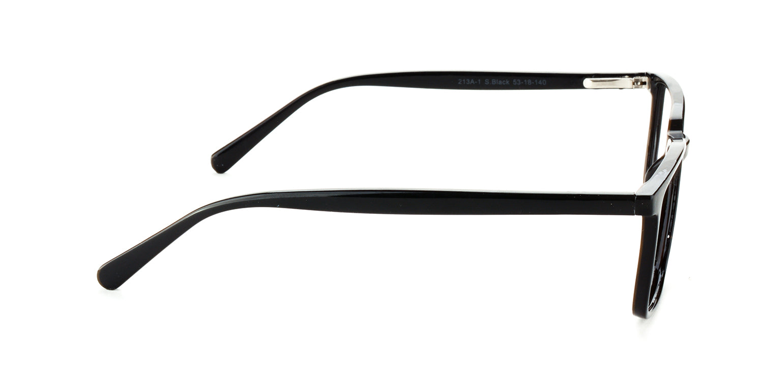 RA213A-1 | Unisex | Shiny Black | CP Glasses