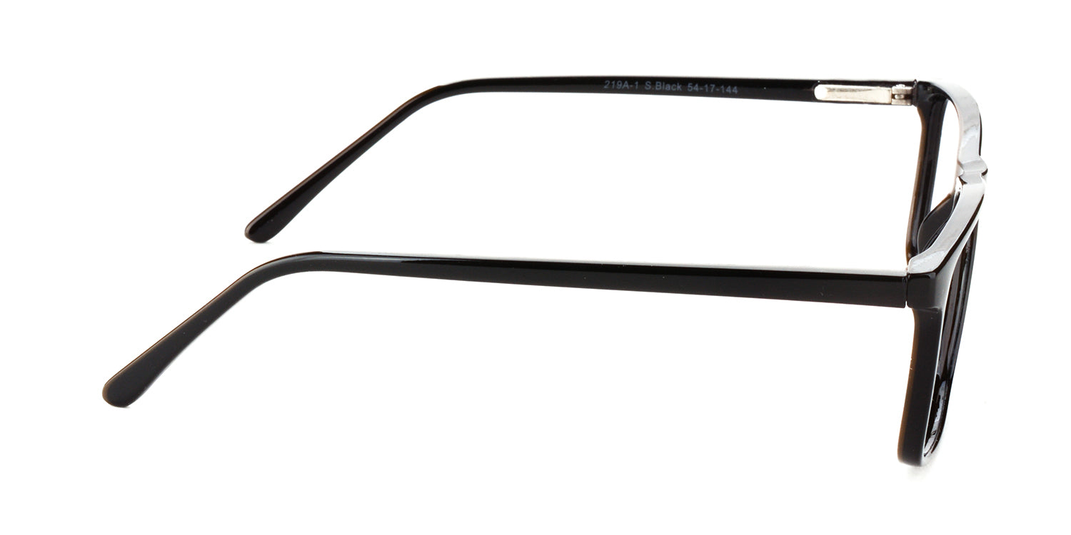 RA219A-1 | Men | Shiny Black | CP Glasses