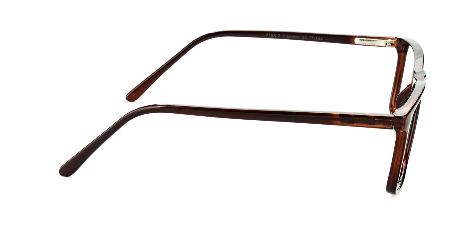 RA219A-2 | Men | Shiny Brown | CP Glasses