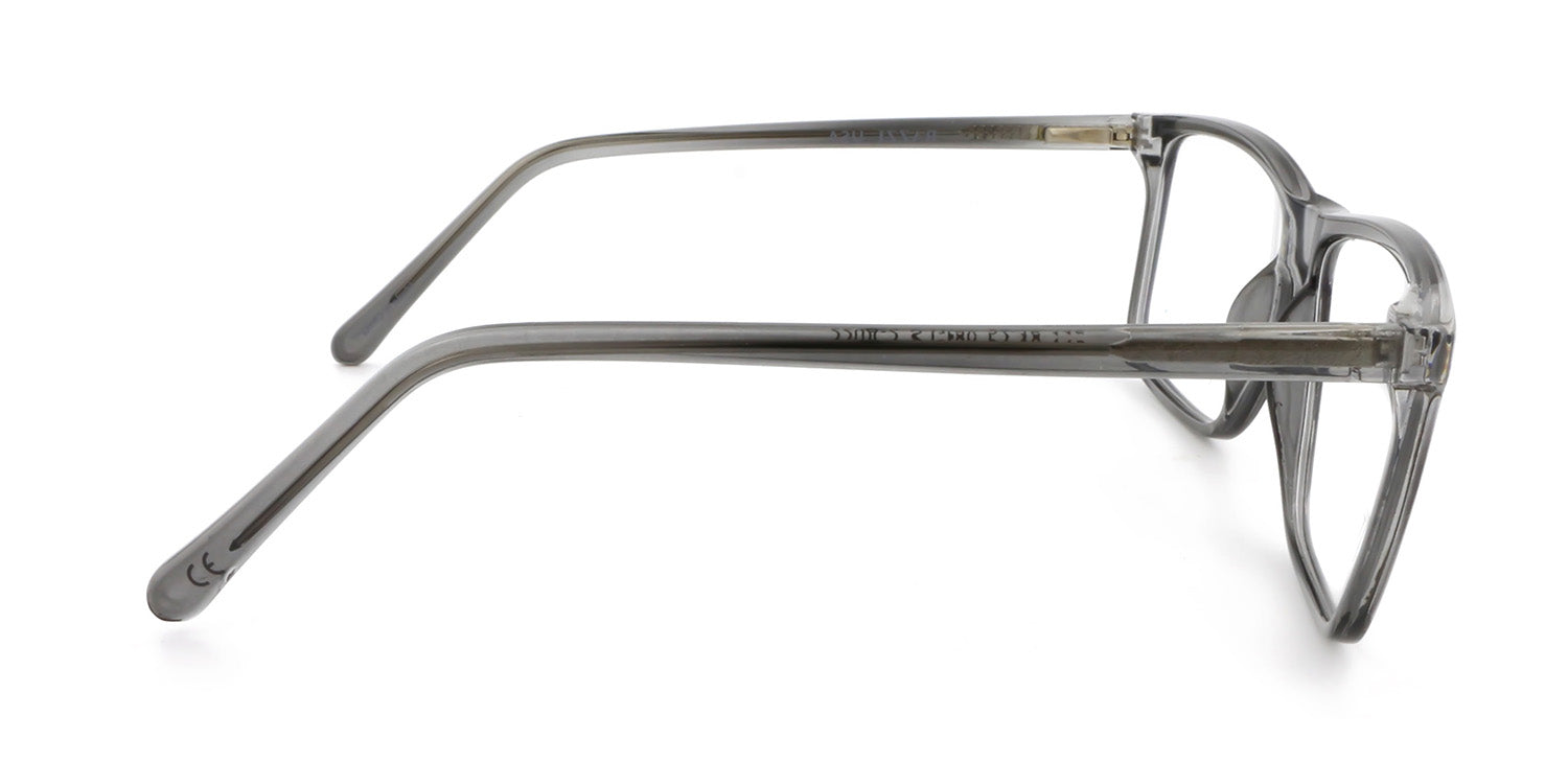 RA220A-2 | Men | Shiny Brown | CP Glasses