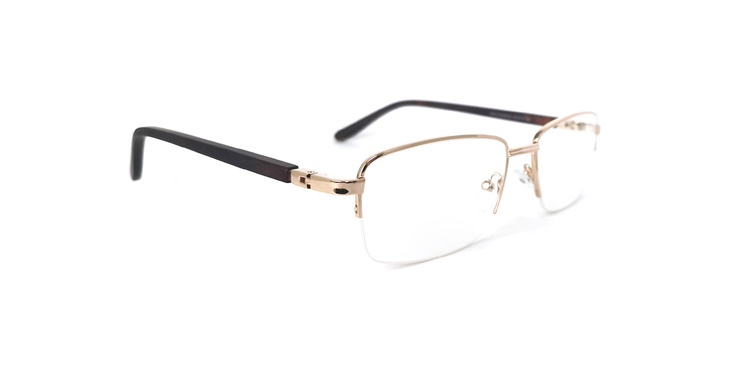 RA444-2 | Men | Shiny Gold | Metal Glasses