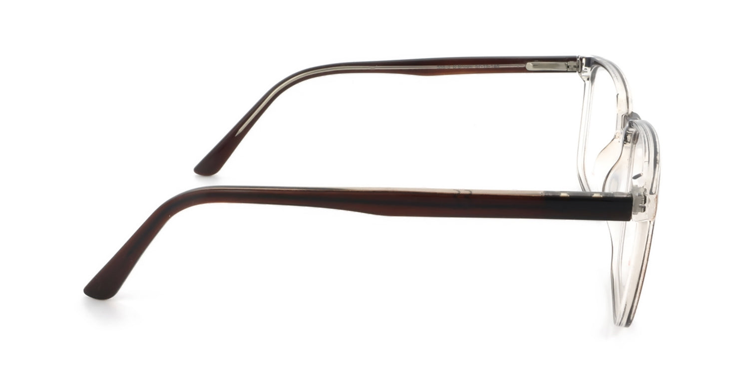 RA556-3 | Unisex | Shiny Brown | CP Glasses