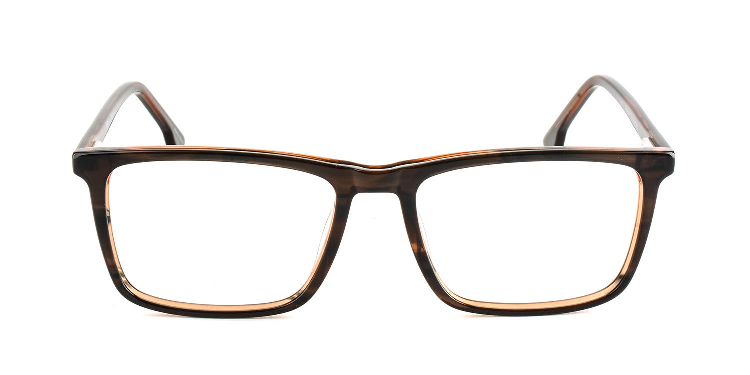 RA565-2 | Men | Shiny Brown | CP Glasses