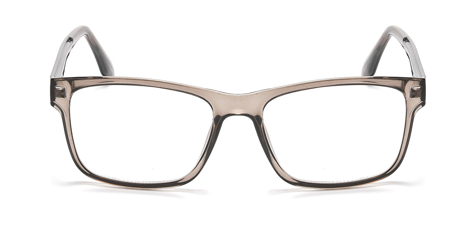 RA223A-1 | Men | Shiny Gray | CP Glasses