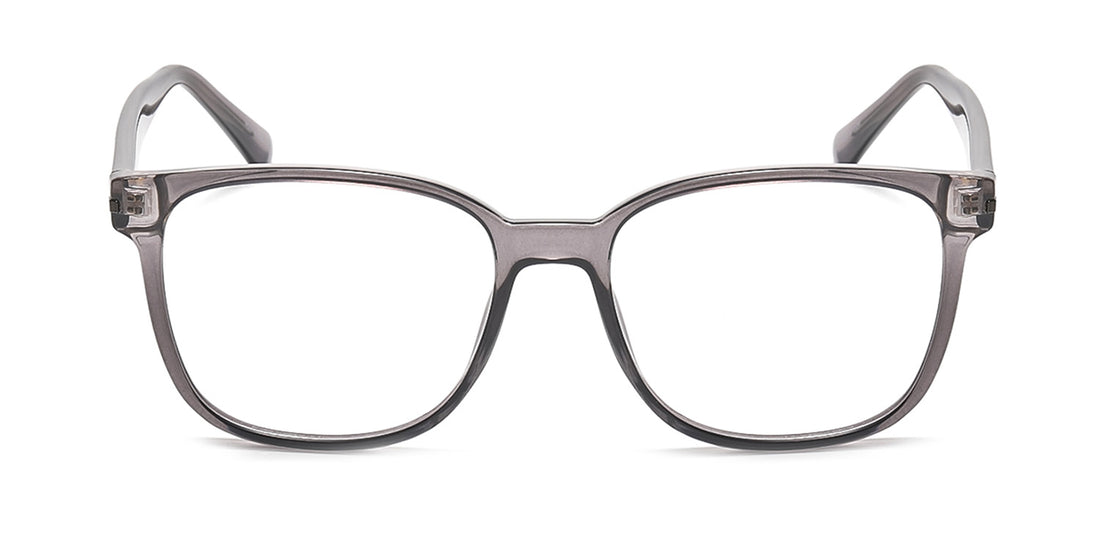 RA223A-1 | Men | Shiny Gray | CP Glasses