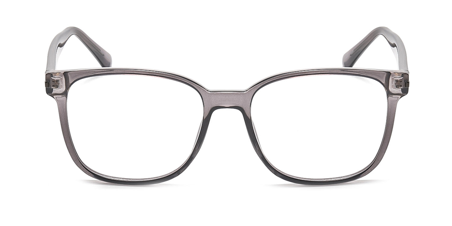 RA223A-1 | Men | Shiny Gray | CP Glasses