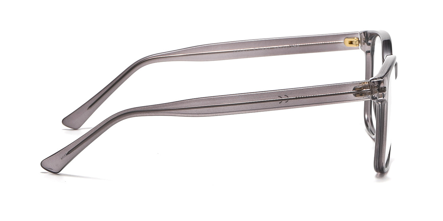 RA223A-1 | Men | Shiny Gray | CP Glasses