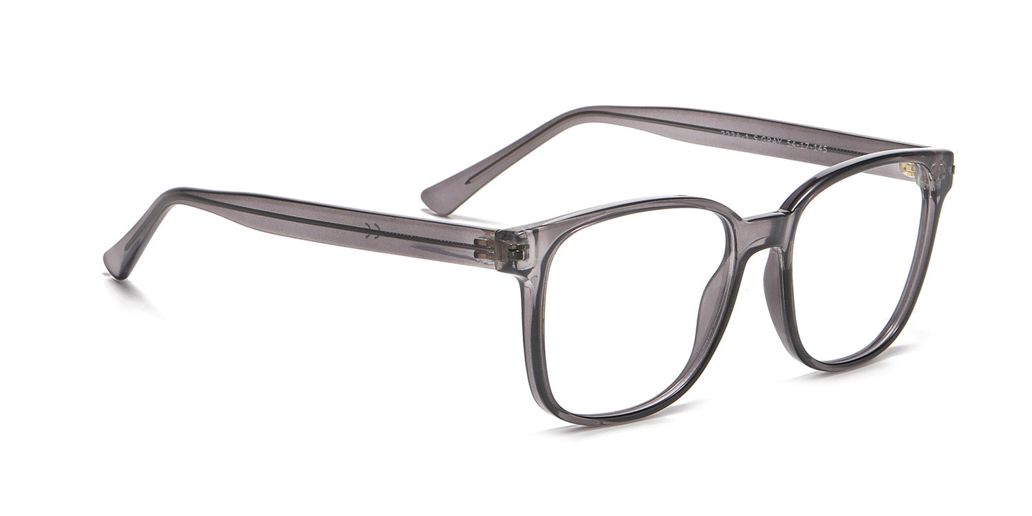 RA223A-1 | Men | Shiny Gray | CP Glasses