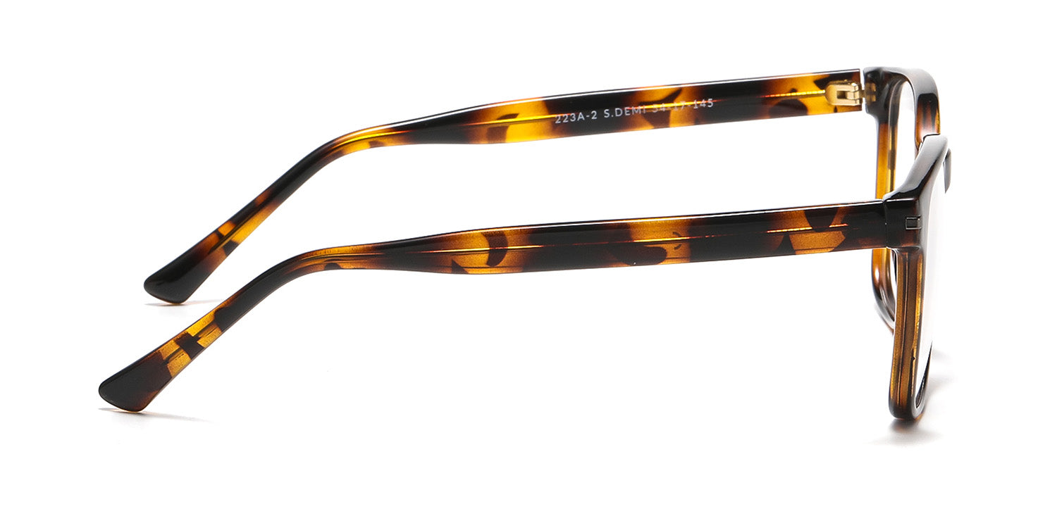 RA223A-2 | Men | Shiny Demi | CP Glasses
