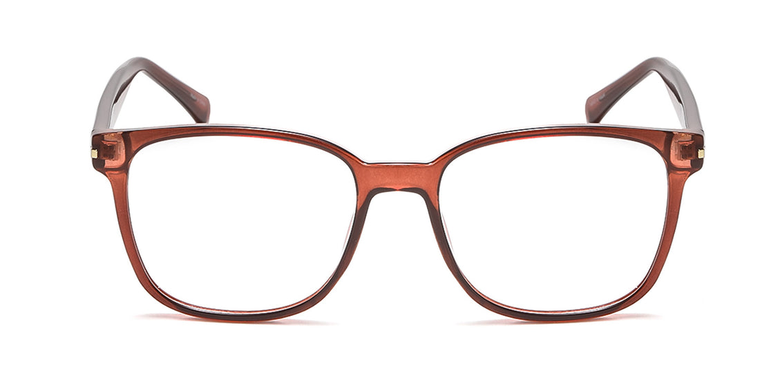 RA223A-3 | Men | Shiny Brown | CP Glasses