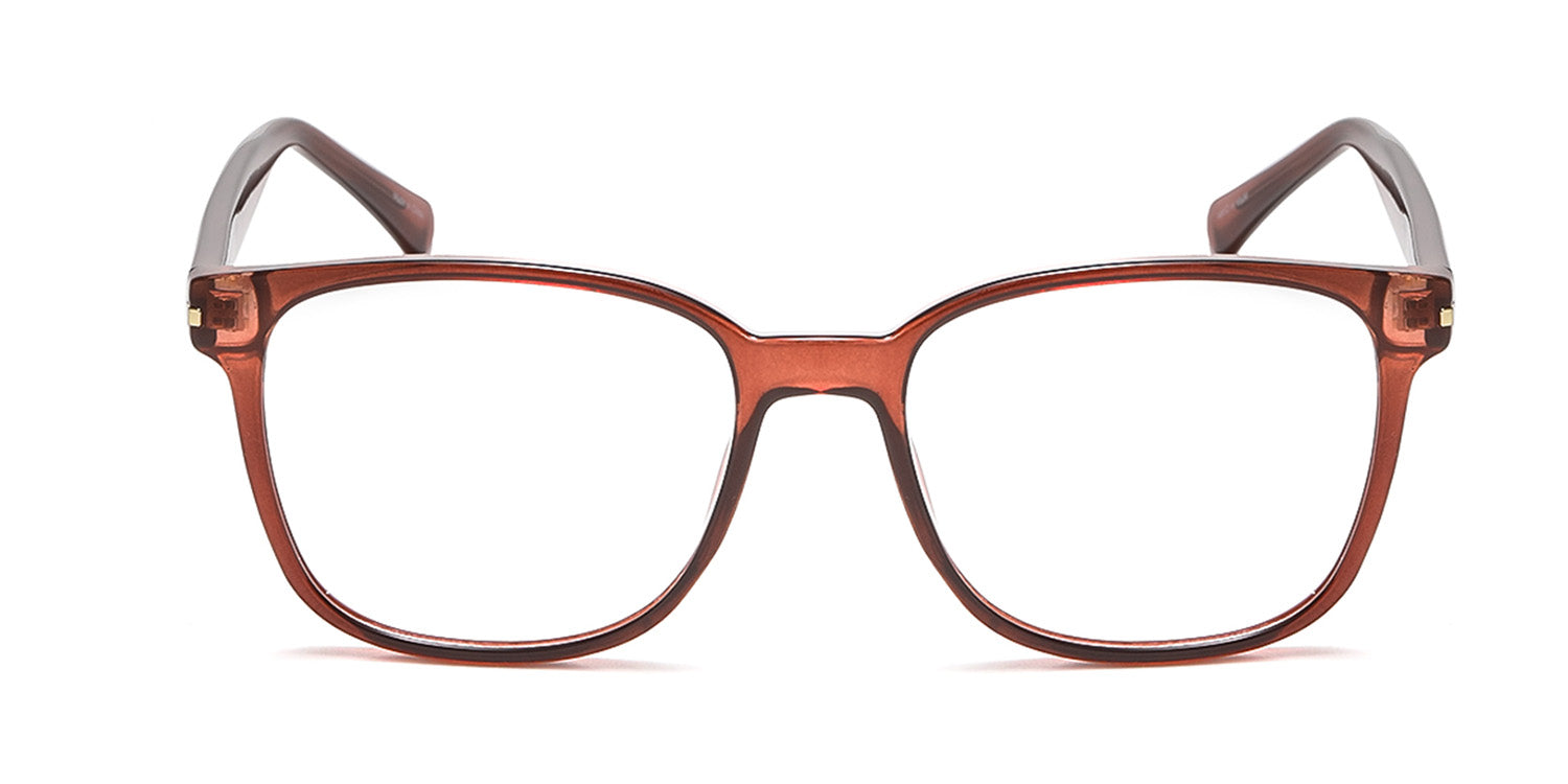 RA223A-3 | Men | Shiny Brown | CP Glasses