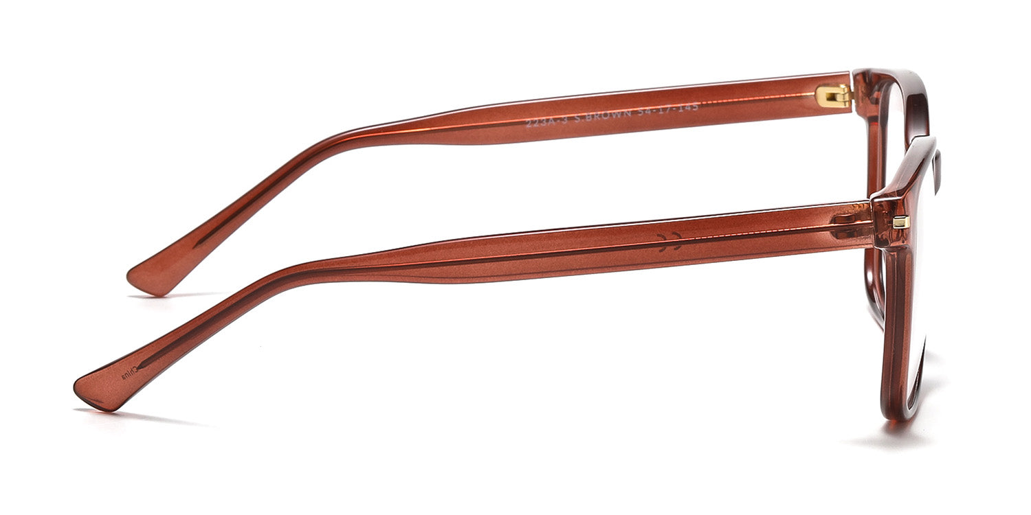RA223A-3 | Men | Shiny Brown | CP Glasses
