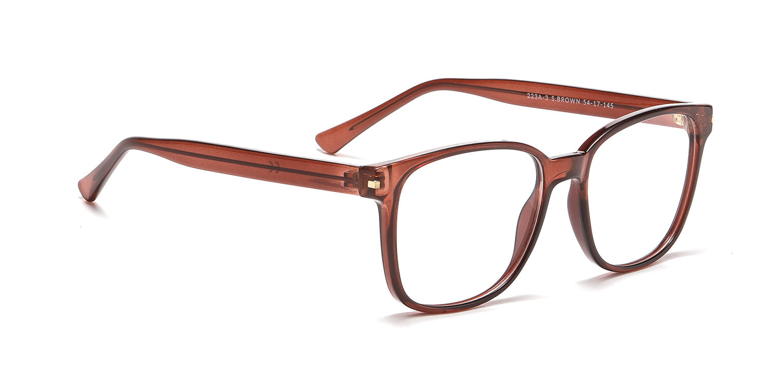 RA223A-3 | Men | Shiny Brown | CP Glasses