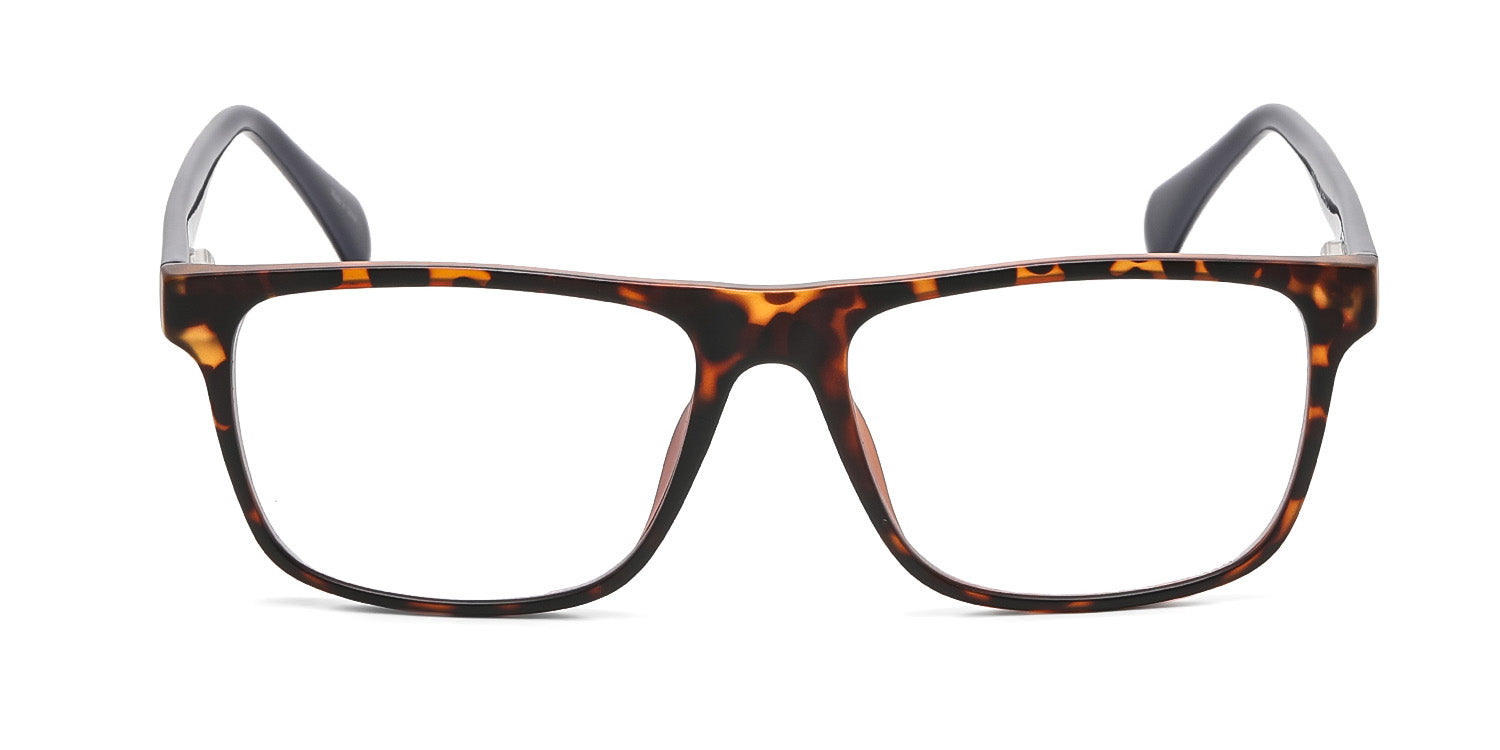 RA224A-1 | Men | Matte Demi | CP Glasses