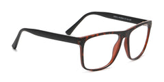 RA225A-3 | Men | Matte Demi | CP Glasses