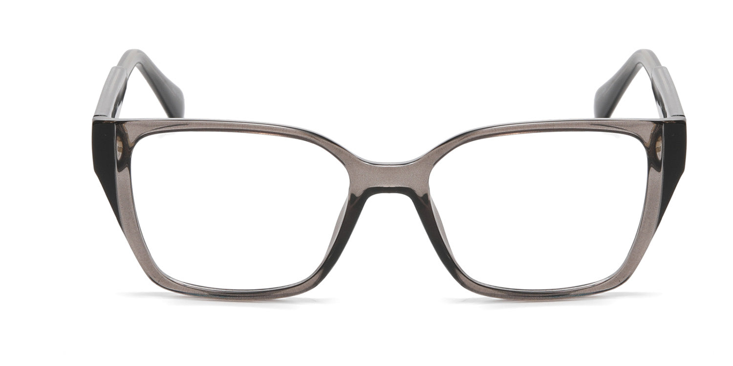 RA229A-1  | Women | Shiny Gray | CP Glasses