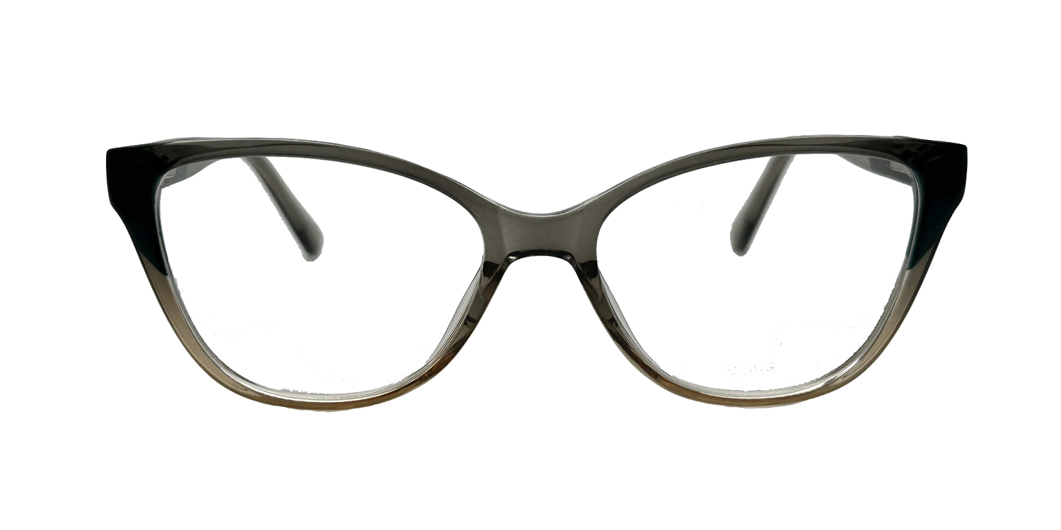 RA232A-1 | Women | Shiny Gray | CP Glasses