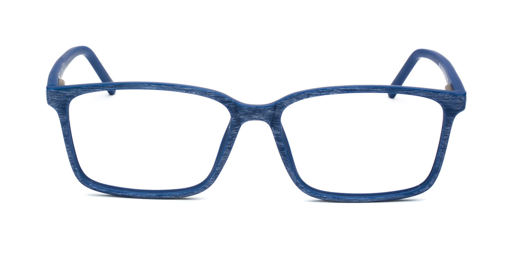 RA290-2 | Men | Matte Blue | CP Glasses