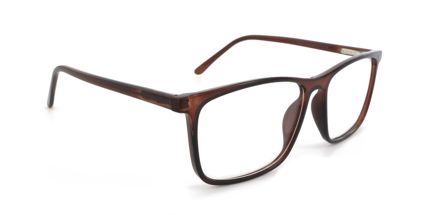 unisex-shiny-brown-cp-glasses-ra555-1